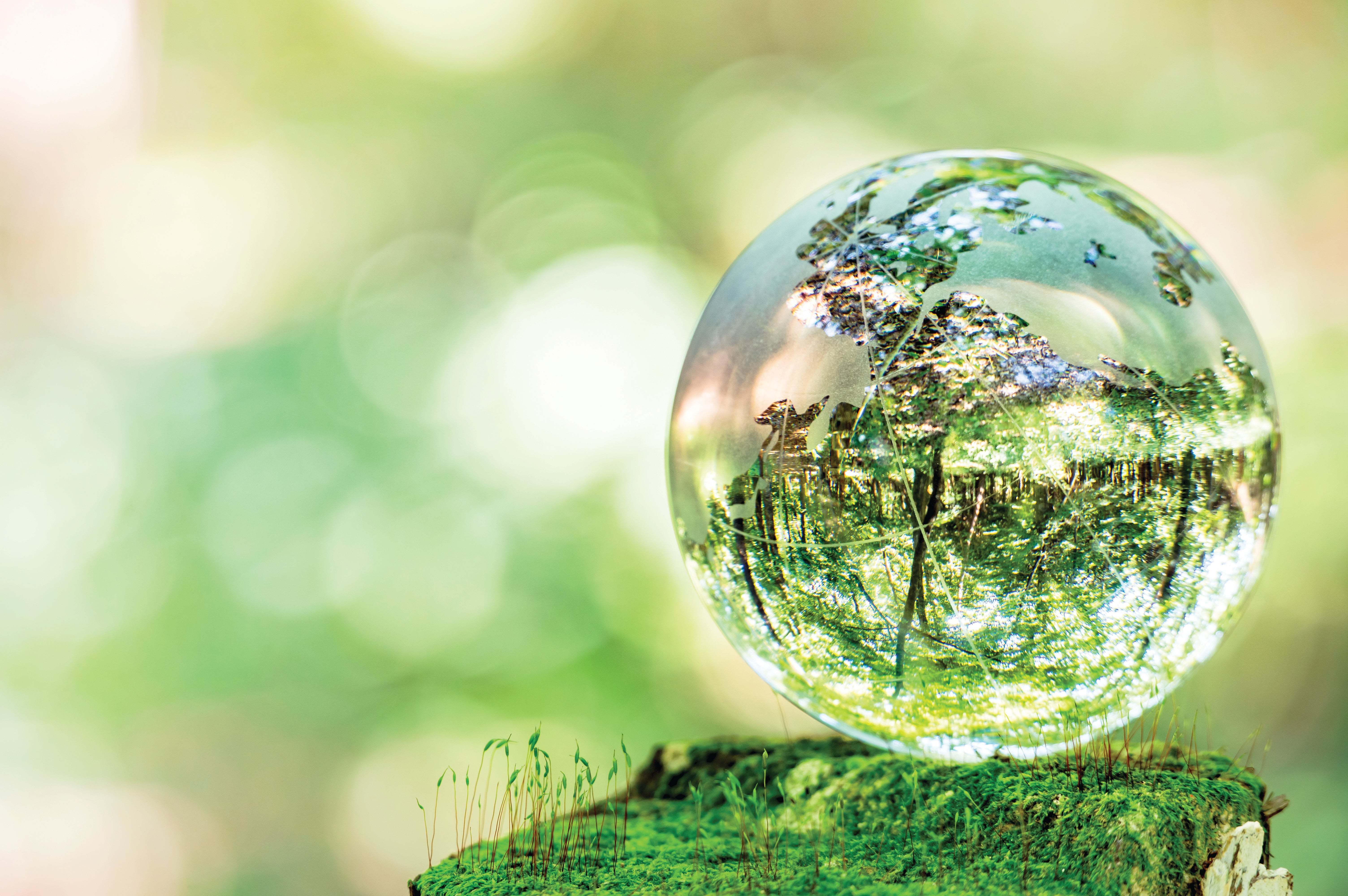 A glass globe in nature and can see trees and grass in the landscape 