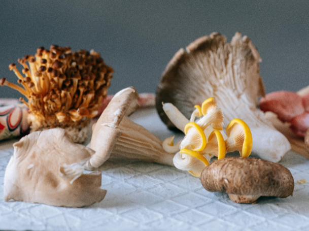  Différents champignons sur un comptoir. 